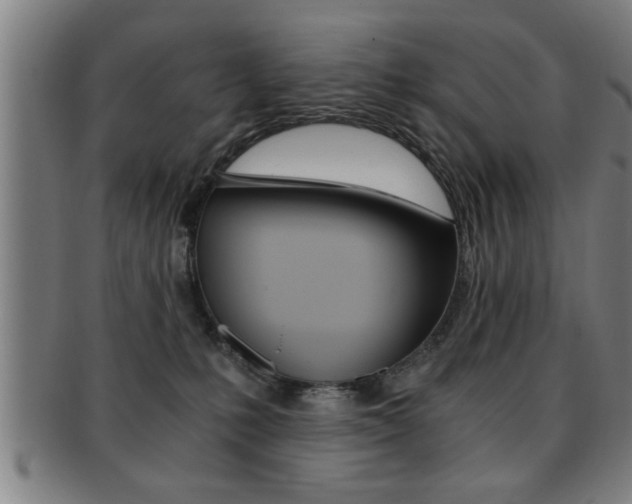 X0000091880231200709051021