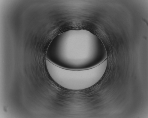X0000091880233200709051021