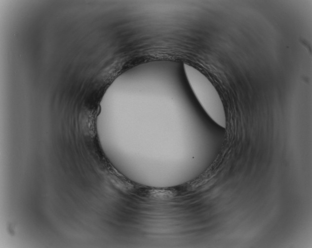 X0000091880234200709051021