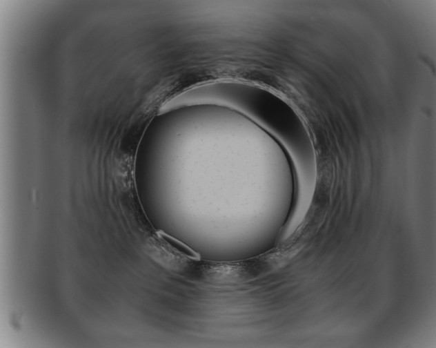 X0000091880237200709051021