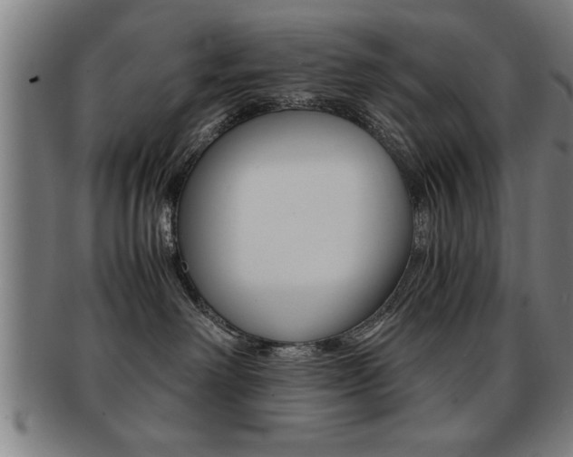 X0000091880238200709051021