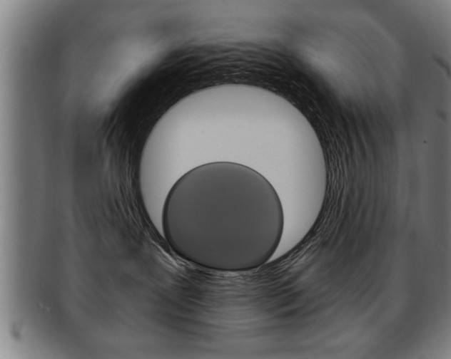 X0000091880239200709051020
