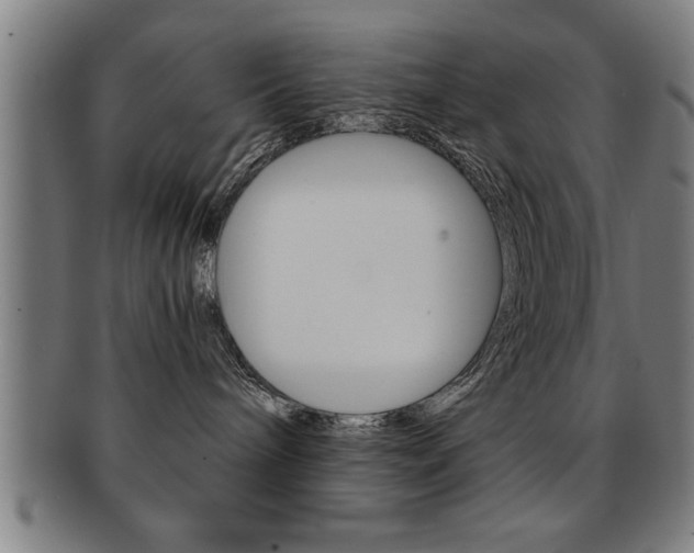 X0000091880240200709051020