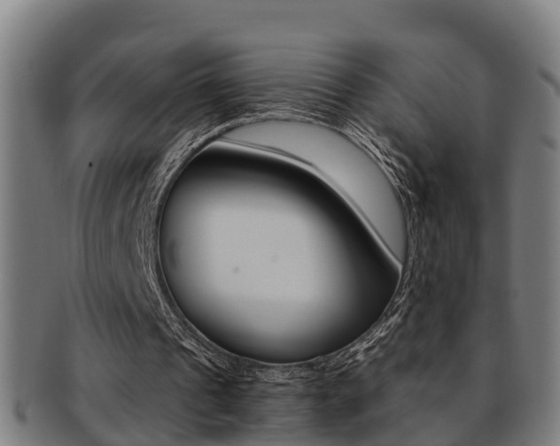 X0000091880241200709051020