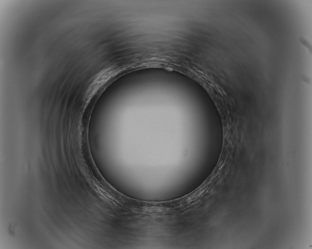 X0000091880242200709051020