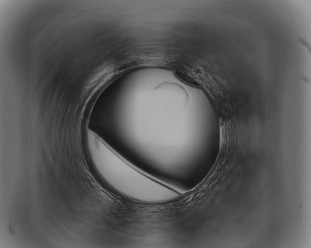 X0000091880243200709051020