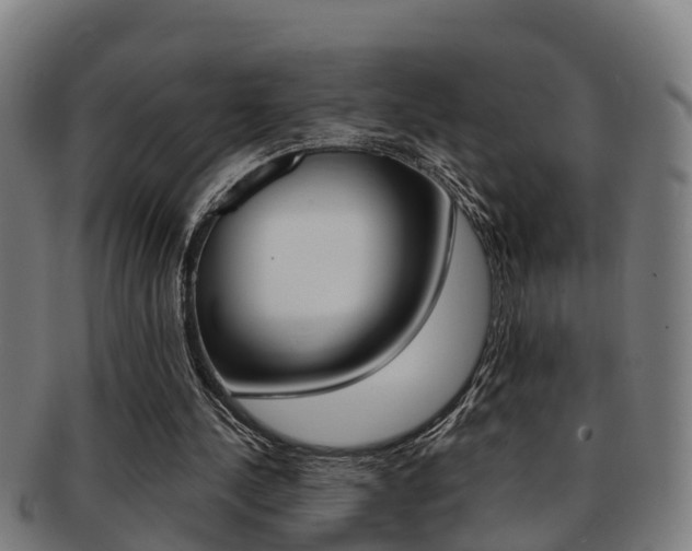 X0000091880244200709051020