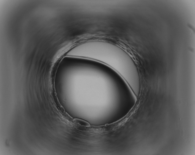 X0000091880245200709051020