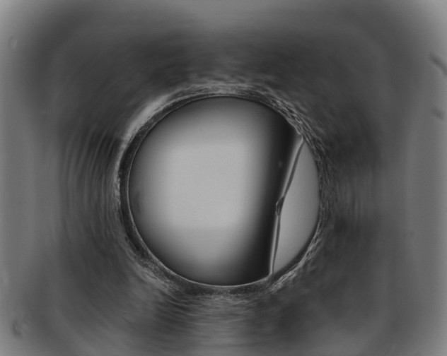 X0000091880246200709051020