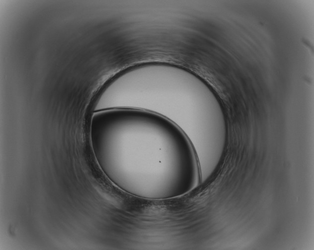 X0000091880252200709051020