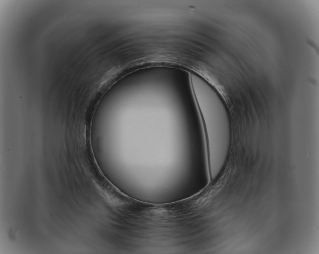 X0000091880253200709051020