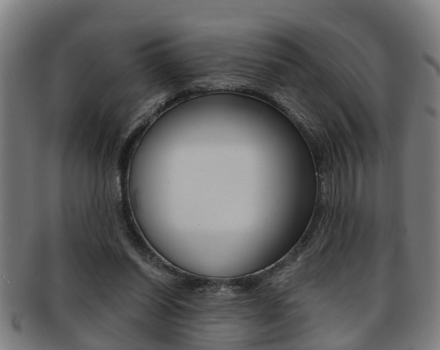X0000091880254200709051020