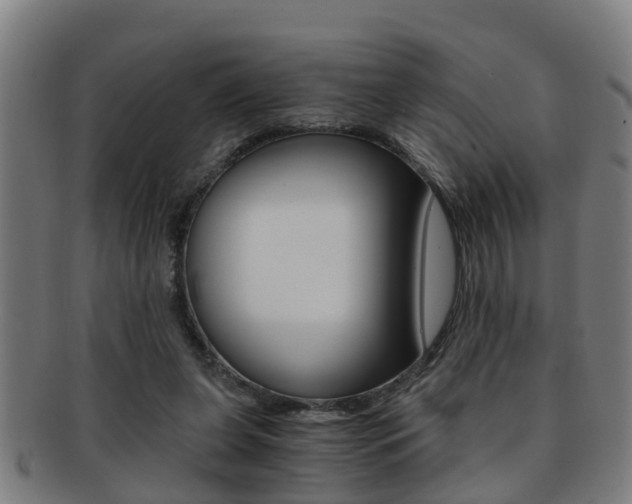X0000091880255200709051020