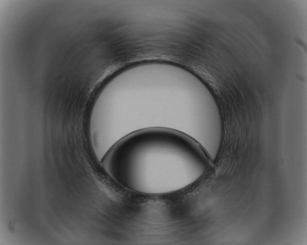 X0000091880256200709051020