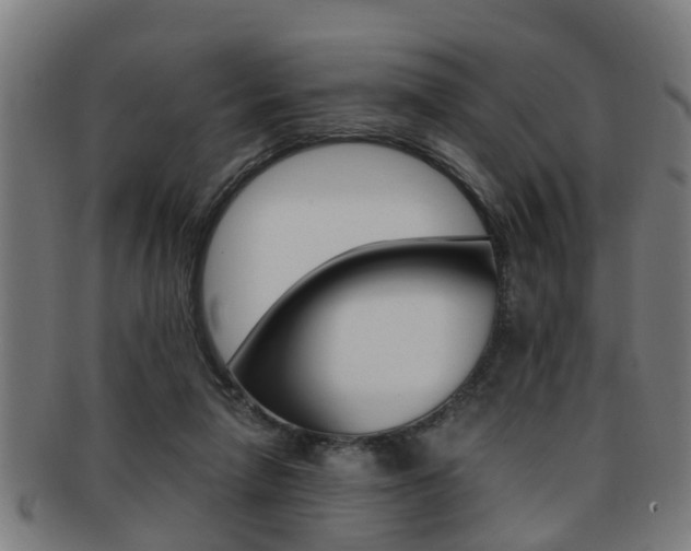 X0000091880258200709051020