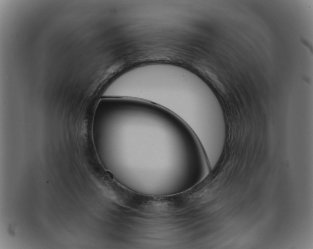 X0000091880260200709051020