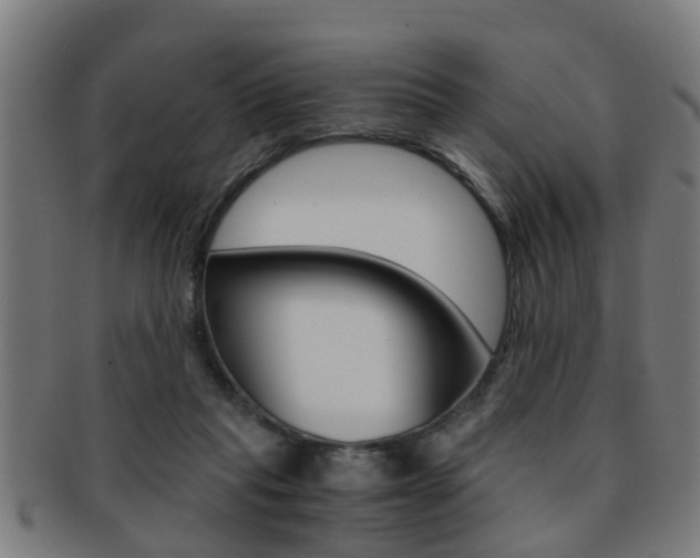 X0000091880261200709051020