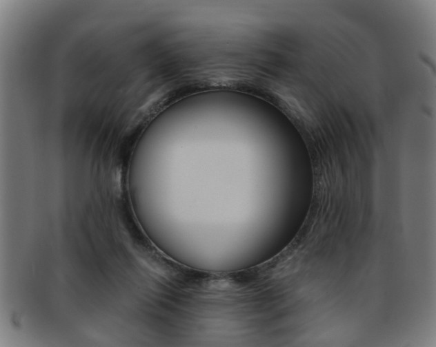X0000091880262200709051020