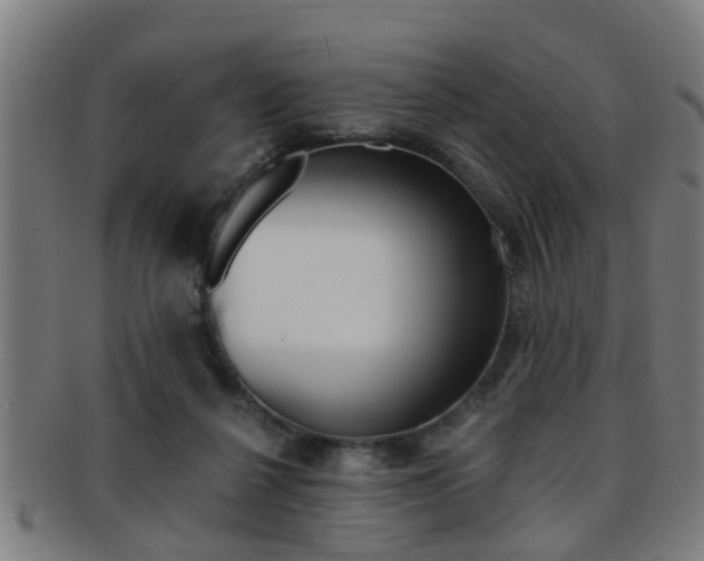 X0000091880264200709051020