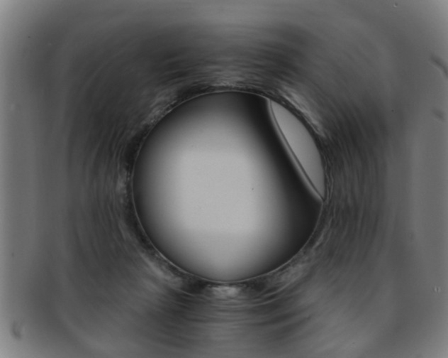 X0000091880265200709051020