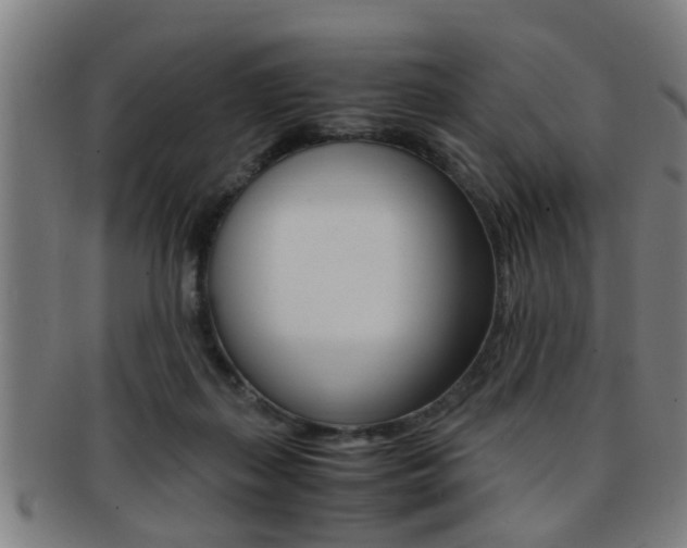 X0000091880267200709051020