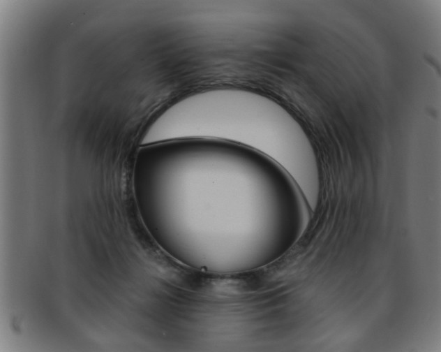 X0000091880268200709051020