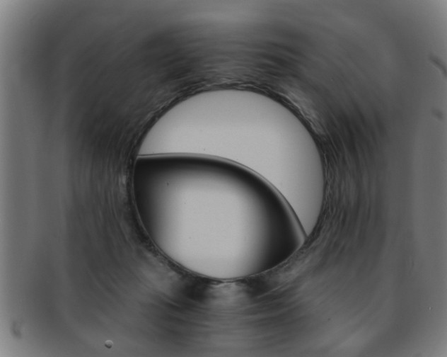 X0000091880269200709051020
