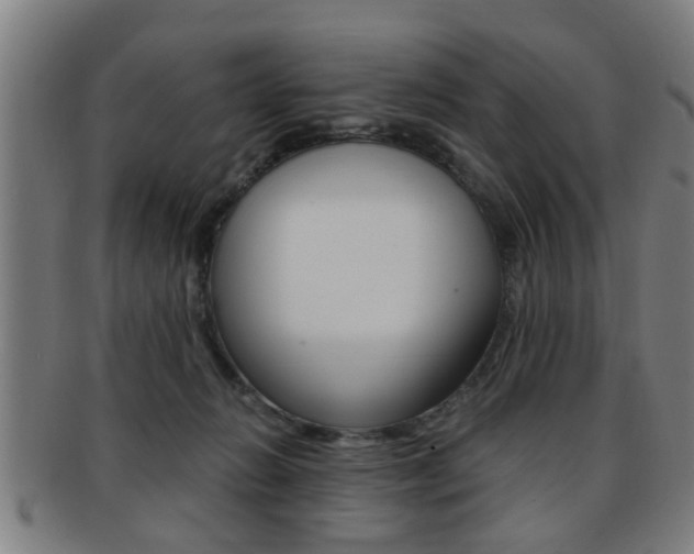 X0000091880270200709051020