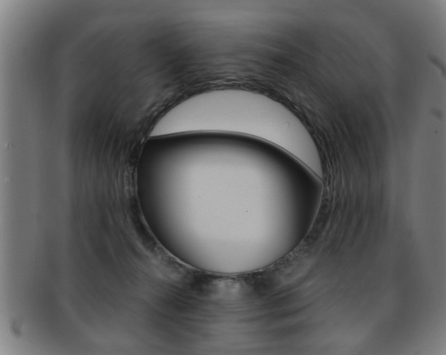 X0000091880272200709051020