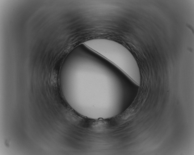 X0000091880274200709051020