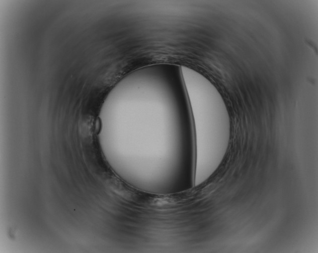 X0000091880275200709051020