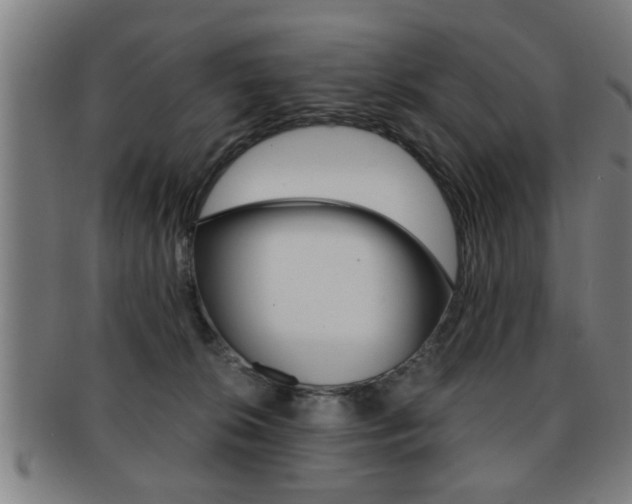 X0000091880276200709051020