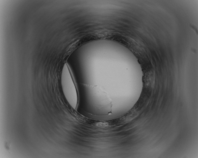 X0000091880279200709051020