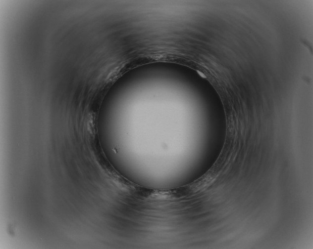 X0000091880280200709051020
