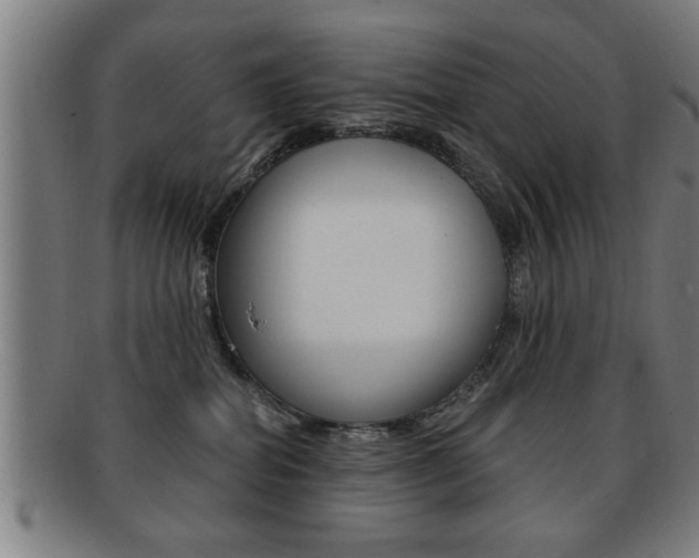 X0000091880282200709051020