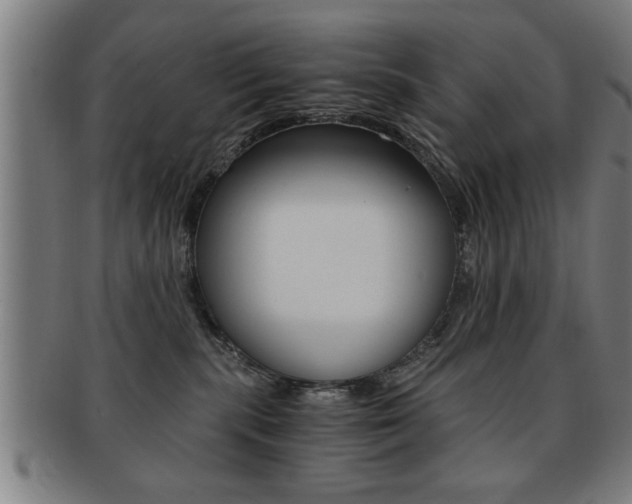X0000091880283200709051020