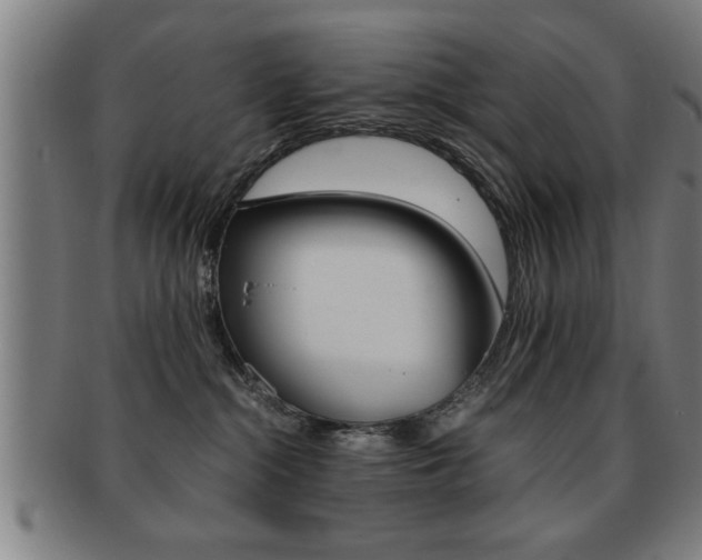 X0000091880284200709051020