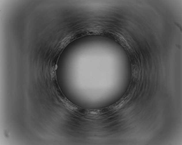 X0000091880285200709051020