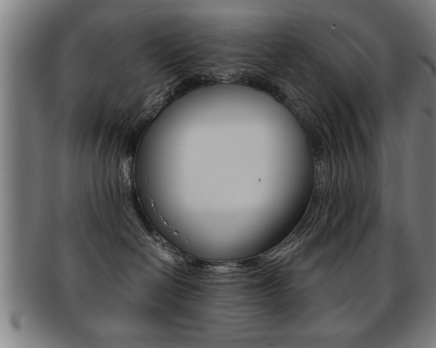 X0000091880286200709051020