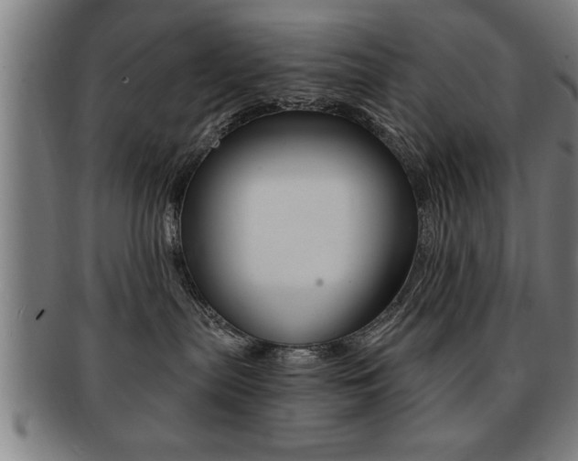 X0000091880287200709051020