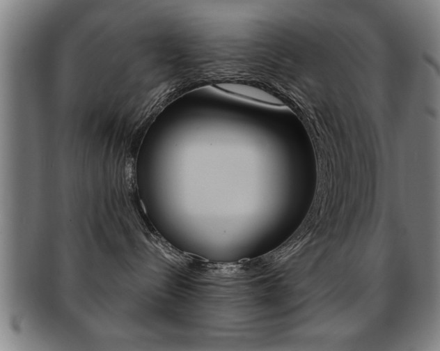 X0000091880288200709051020
