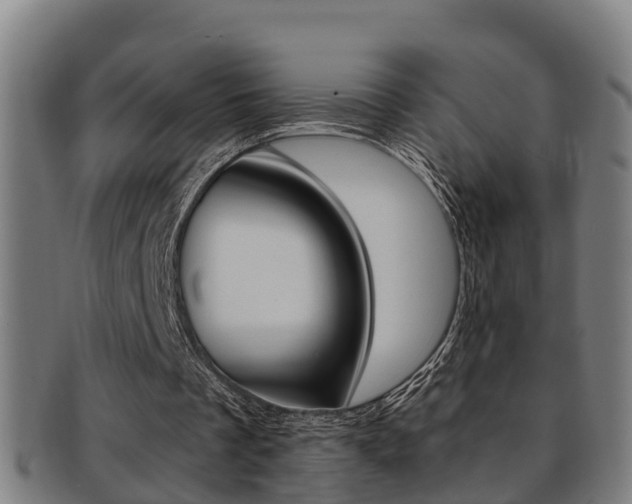 X0000091880289200709051020