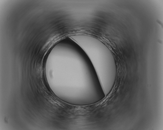 X0000091880290200709051020