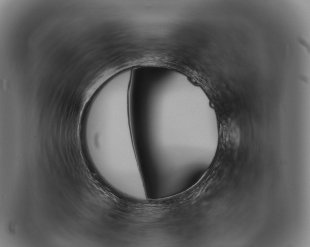 X0000091880292200709051020