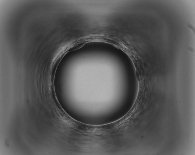 X0000091880293200709051020