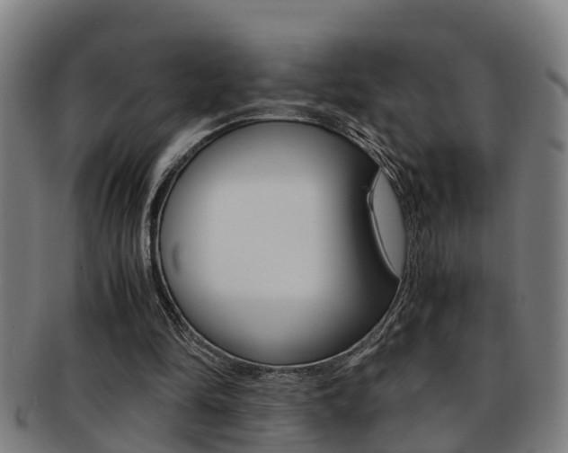 X0000091880294200709051020