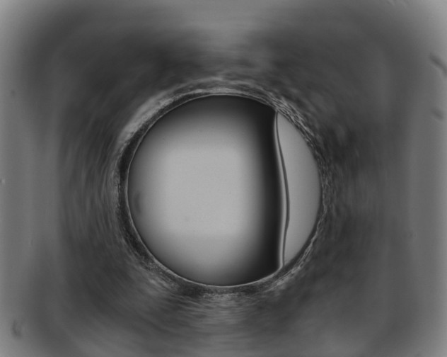 X0000091880295200709051020