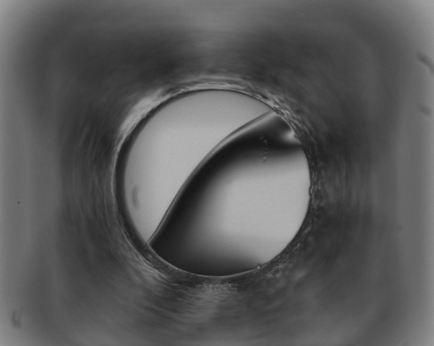 X0000091880296200709051020