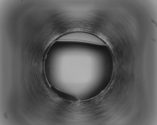 X0000091880297200709051020