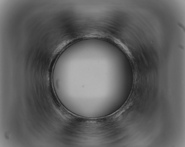 X0000091880298200709051020